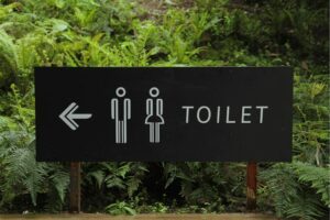 Toilet Signage Beside Green Leaf